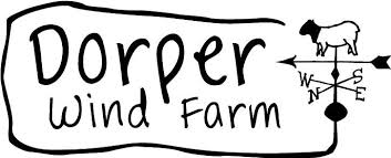 Dorper-1
