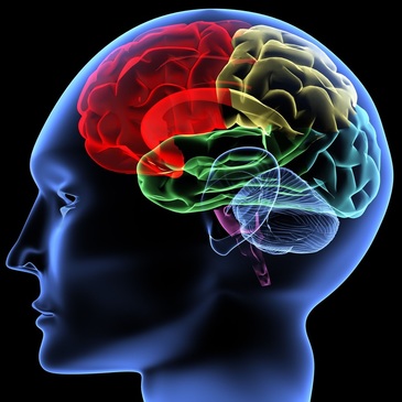 a-brain-sabotaging-you-7.jpg